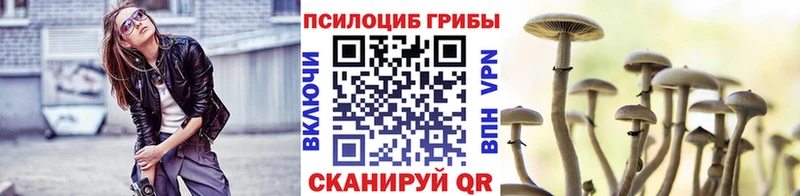 Галлюциногенные грибы мицелий  Давлеканово 